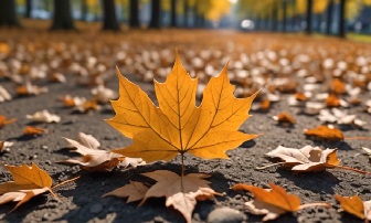 束の間の幻影12